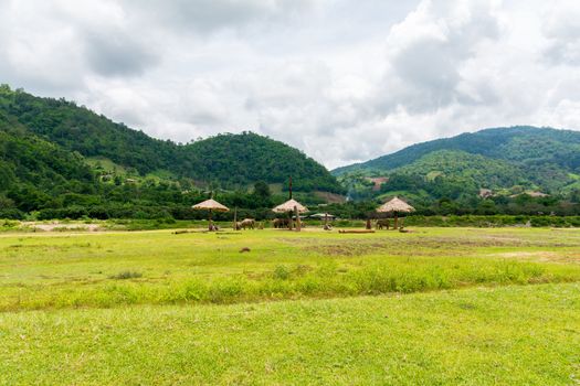 Elephant in protected nature park near Chiang Mai, Thailand