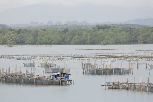 The coop for feeding fish in east of Thailand sea.