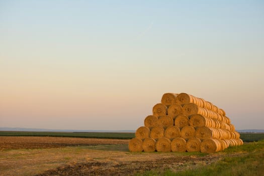 Bales of Hay Rolled Into Stacks in the Field. Rolls of Wheat in the Grass. Bales of straw.