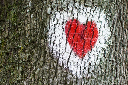 Red heart inside white circle painted on tree