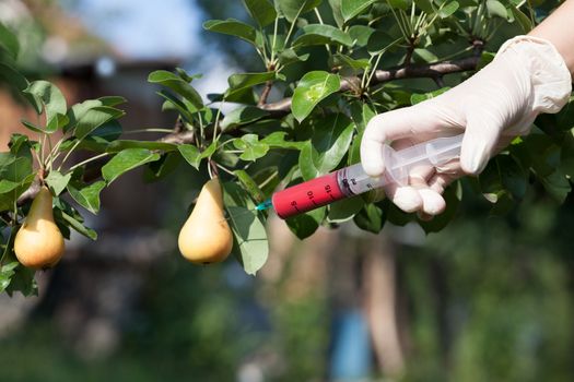 Non-organic fruit