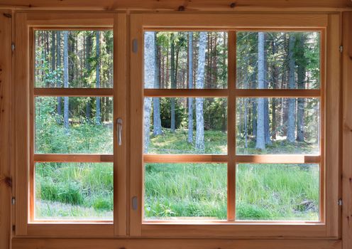 Green sunny view of summer woods in the wooden country window