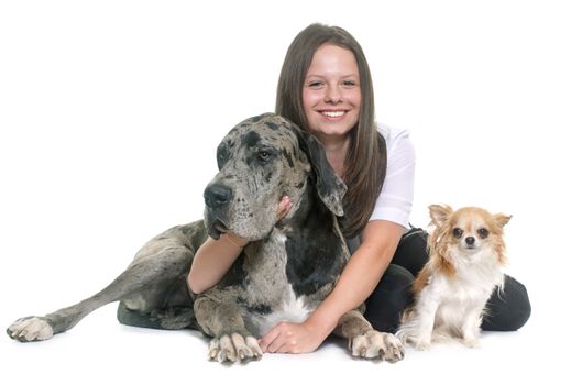 Great Dane, chihuahua and teenager in front of white background