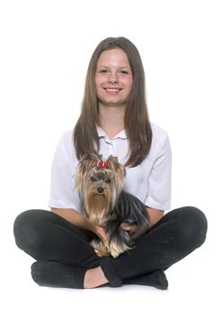 young yorkshire terrier and teen in front of white background