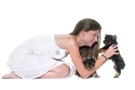 young yorkshire terrier and child in front of white background