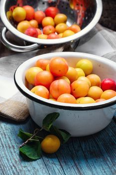 Iron bowl with autumn plums on wooden background