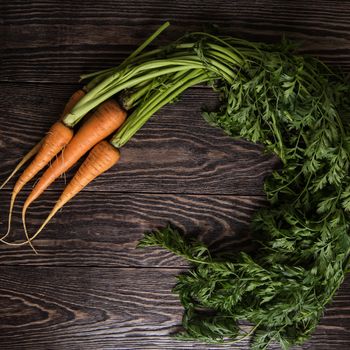 Freshly grown carrots on wooden table