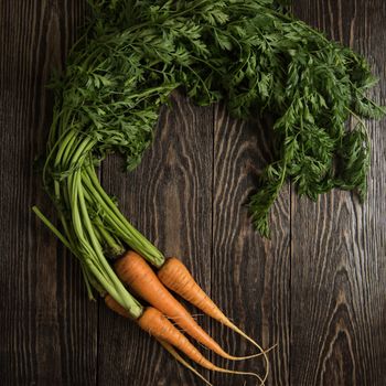 Freshly grown carrots on wooden table