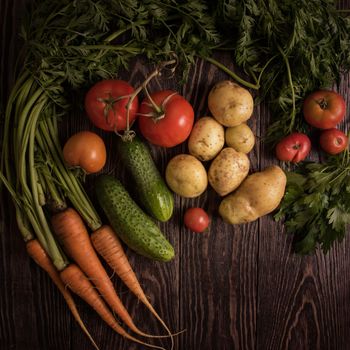 Close up of various freshly grown raw vegetables