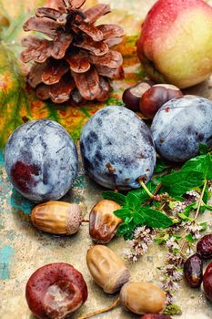 Autumn background with plums,applesand cones,chestnuts and acorns