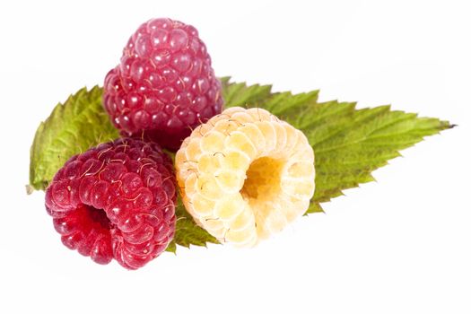 Red and white  raspberries on leaf isolated on white background .