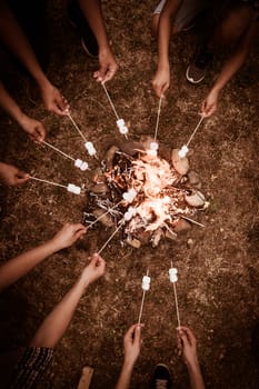 Close-up of marshmallows roasting in campfire in forest