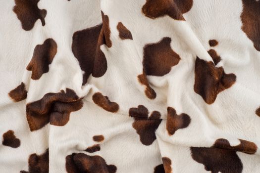 Cow skin texture. It can be used as a background.