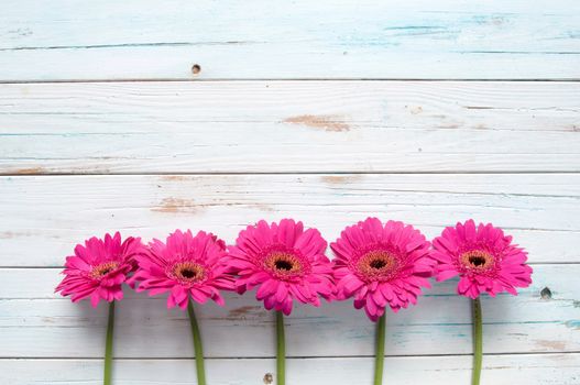 Summer daisies on a wooden background with space