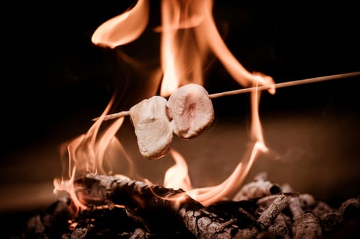 Close-up of marshmallows roasting in campfire in forest