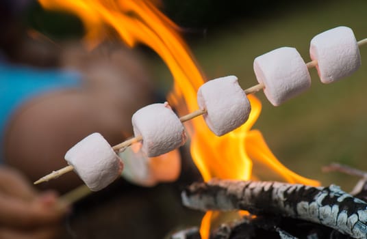 Close-up of marshmallows roasting in campfire in forest