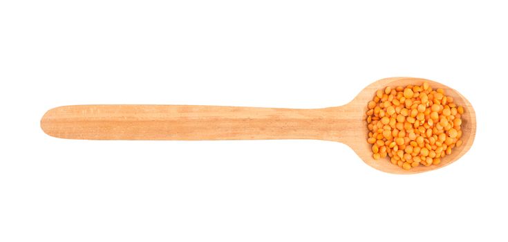 lentils on wooden spoon isolated on a white background