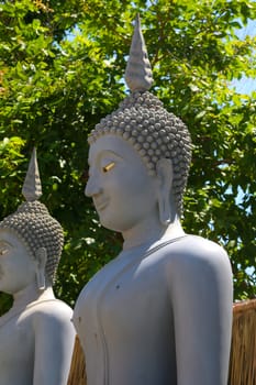 Buddha statue in thailand