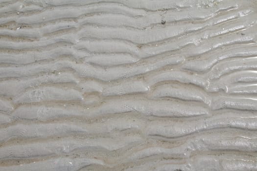 Sand Texture