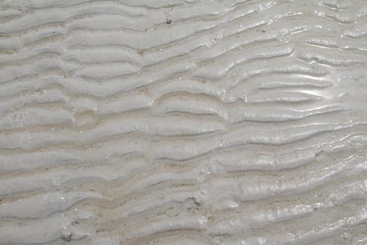 Sand Texture