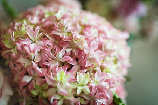 Beautiful bouquet of pink and white flowers