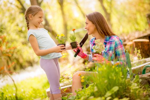 Cute little girl assisting her mother planting flowers in a backyard.