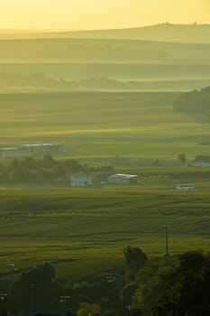 Champagne vineyards Villedomange in Marne department, Champagne-Ardennes, France, Europe