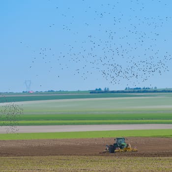 Tractor plowing the fields with a flock of birds above Champagne France Europe