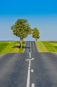 Asphalt road lined with fields and trees in Champagne France Europe