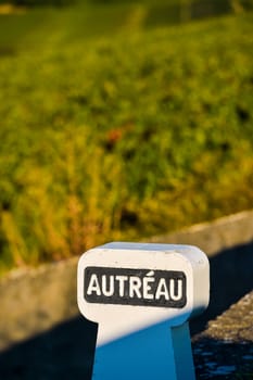 Champagne vineyards in Marne department, Champagne-Ardennes, France, Europe