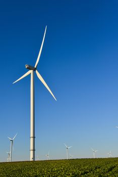 Windmills for electric power production on blue sky, France, Europe
