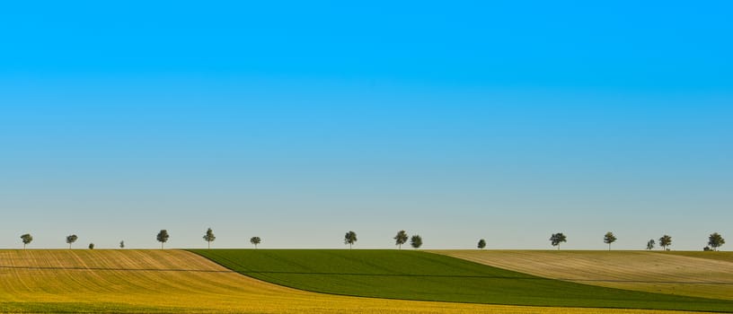 Green trees in a fields on blue sky, Champagne, France, Europe