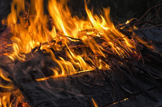 View of fire and flames which burn the wood