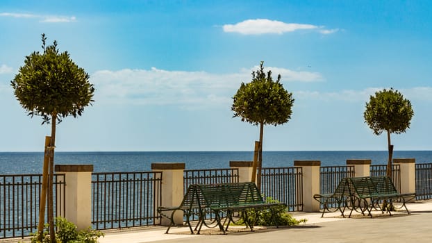 Bench and little trees at the sicilian sea, Italy.
