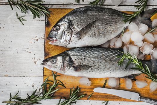 Dorado fish and sea bass with rosemary on the wooden board 