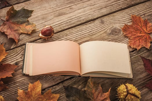 Open clear  vintage notebook surrounded by  maple leaves and chestnuts with film filter effect horizontal