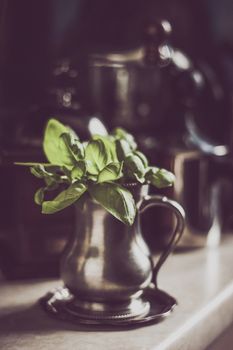 Green basil in the old metal jar with blurred pots and pans