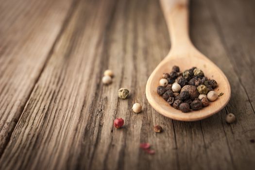 Pepper mix on the wooden spoon horizontal