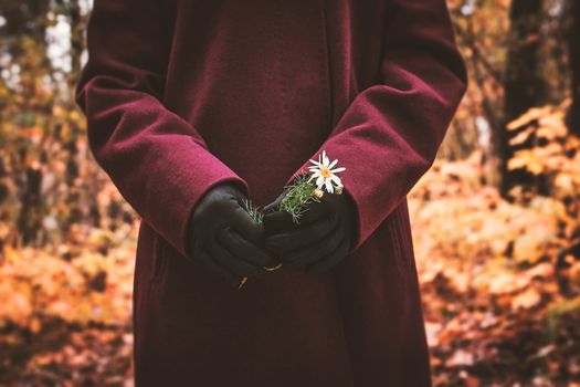 Woman with flower in the hand in the autumn forest