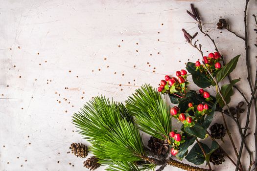 Pine branch and winter plants on the white table background horizontal