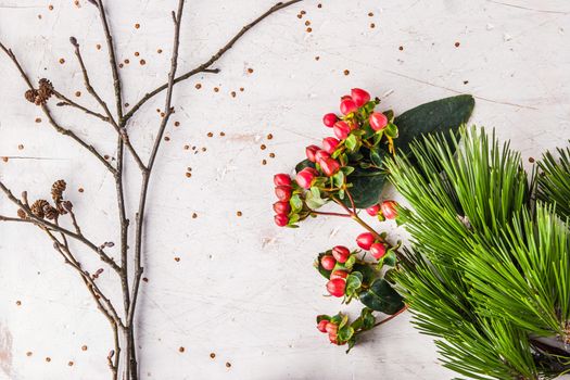 Pine branch and winter plants on the white table background horizontal