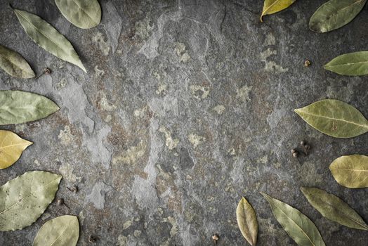 Leaves of the tree of the laurel on the stone table horizontal 