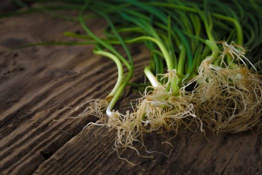 Green onion stalks and roots on old boards horizontal