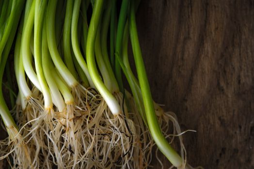 Green onion stalks and roots on a wooden table horizontal