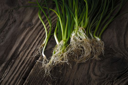 Green onion stalks and roots on old boards horizontal