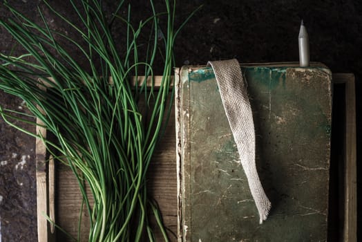 Green onion stalks and the book in a wooden box horizontal