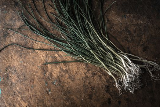 Green onion stalks and roots on the stone table horizontal