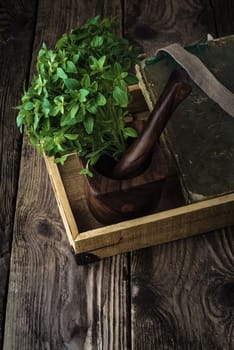 Basil, book and mortar on old boards vertical