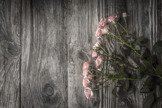Bouquet of roses on old wooden boards on the right horizontal