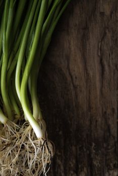 Green onion stalks and roots on a wooden table vertical